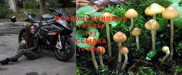 тгк Аркадак