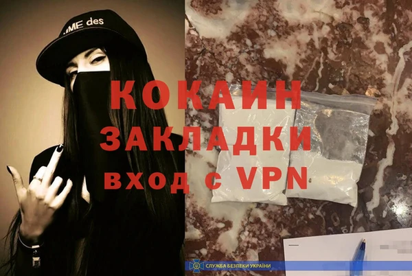 ешки Новозыбков