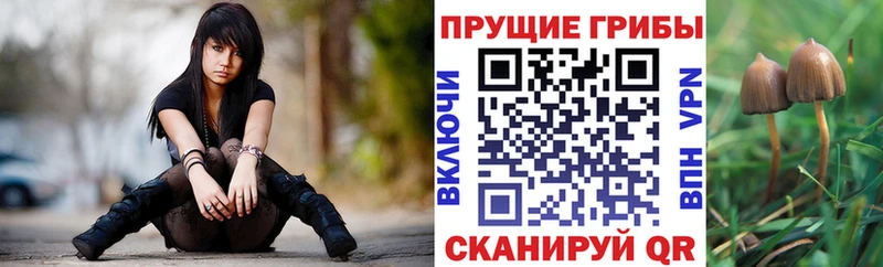 Псилоцибиновые грибы Psilocybine cubensis  KRAKEN как зайти  Черняховск 